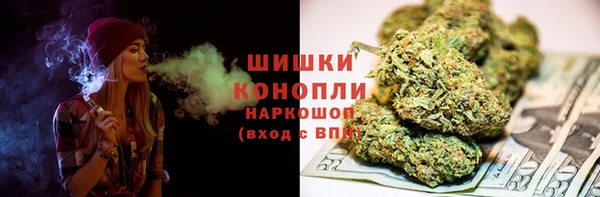 МДПВ Новозыбков