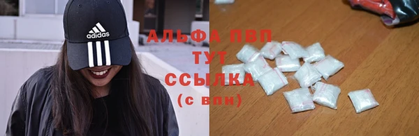 ПСИЛОЦИБИНОВЫЕ ГРИБЫ Нея