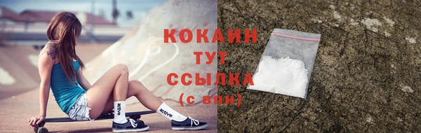МДПВ Новозыбков