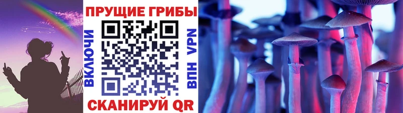 Галлюциногенные грибы MAGIC MUSHROOMS сайты даркнета официальный сайт Нытва